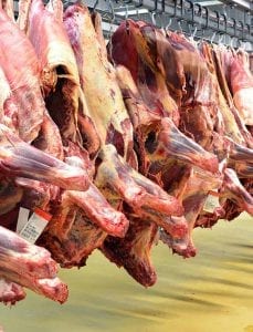 iccv-abattoir-halal-certification