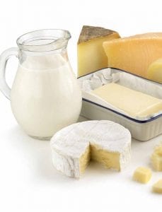 iccv-dairy-products-cheese-halal-certification